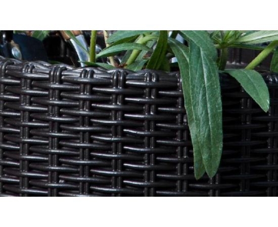 ყვავილის ქოთანი Keter Cylinder Planter Large 43.7x43.7x44.3 სმ ნაცრისფერი