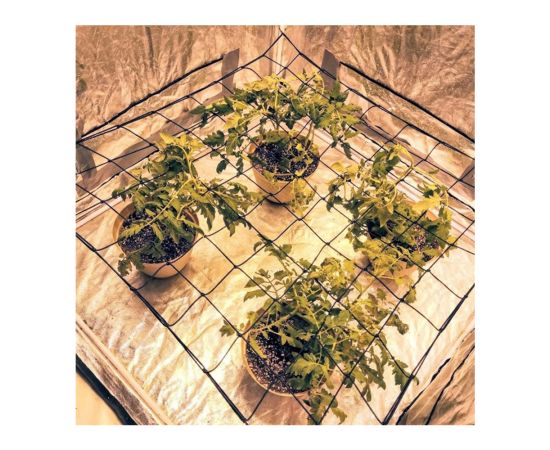 Mesh net GrowGrow 50x50cm