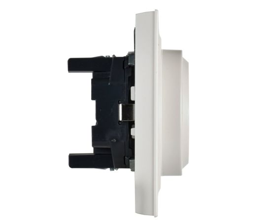 Socket IEK RS12-3-BrZh 2 BRITE 16A pearl