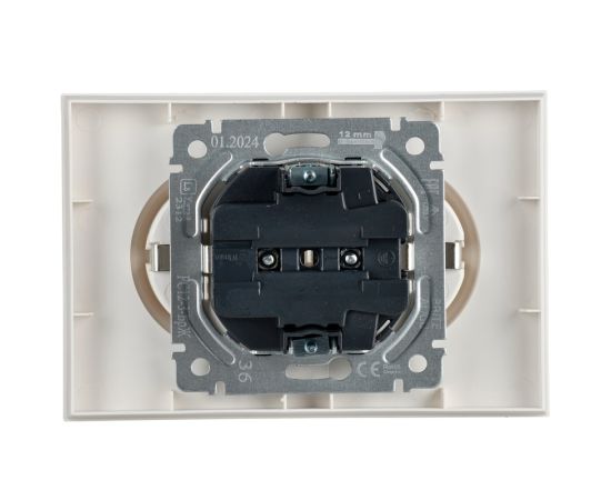 Socket IEK RS12-3-BrZh 2 BRITE 16A pearl