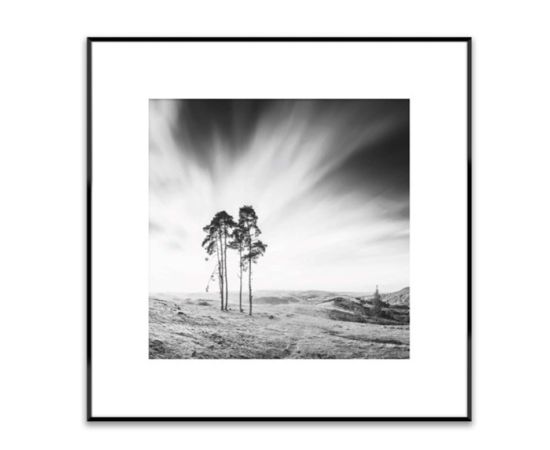 Picture in a frame Styler AB088 TREES 50X50