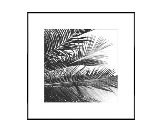 Picture in a frame Styler AB081 PALMS 50X50