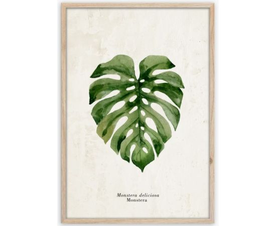 Picture in frame Styler Monstera FP037 50x70 cm