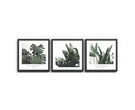 Painting Styler FR398 Plant 30x30 cm 3pcs