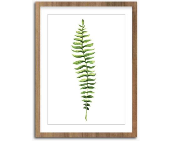 Picture in frame Styler Wooden Fern FR278 30X40 cm