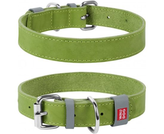 Collar Waudog Classic Size S green