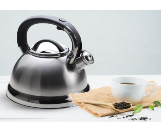 Teapot metal Arshia 26506 2,8l