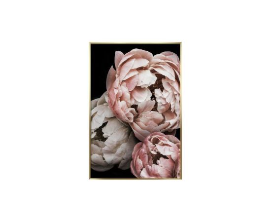 სურათი ჩარჩოში Styler AB114 PEONY 50X70