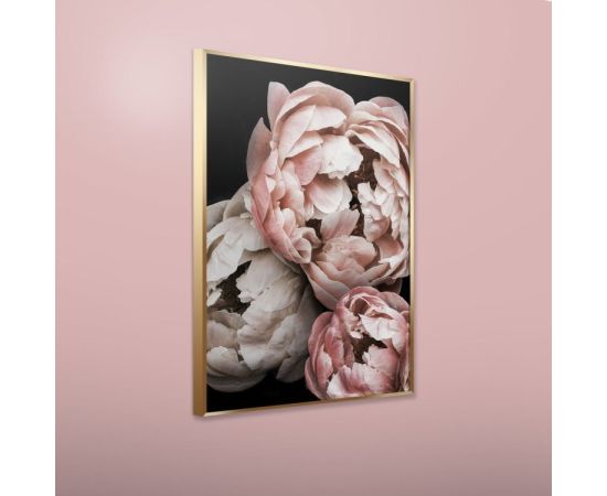 Картина на рамке Styler AB114 PEONY 50X70