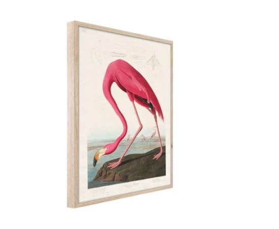 Картина на рамке Styler FP039 FLAMINGO 50X70