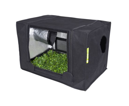 Tent for plants Garden HighPro Probox Propagator S 60x40x40 cm