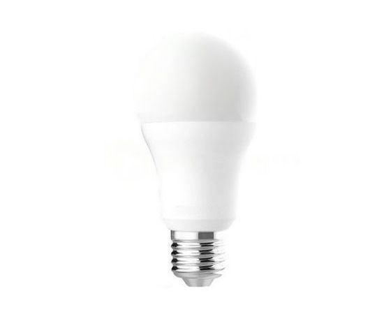 Lamp LED E27 15W 6500K Ledolet