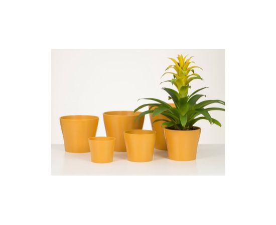 Ceramic pot for flowers Scheurich 808/13 CURCUMA