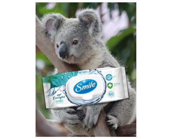 Wet wipes Smile 60 pcs