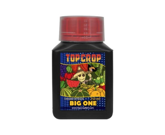 Liquid fertilizer Top Crop Big One 250 ml