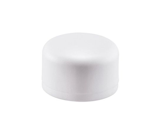 Cap Veini PPR 32 mm