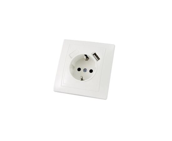 Power socket grounded + USB TDM SQ1814-0040 1 sectional white