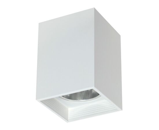 სანათი წერტილოვანი Luminex Downlight sguare 7244 1xE27 60W თეთრი