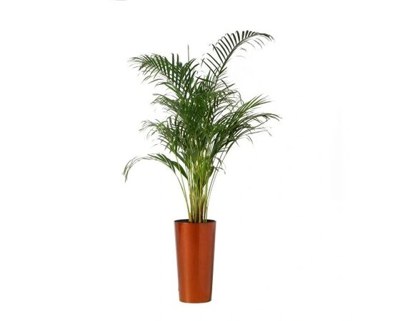 Flower pot Lamela LILIA 300 12,5l brown