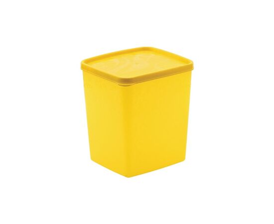 Container of plastic Plast Art 2 l