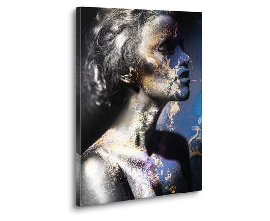 A Picture on canvas Styler SILVER 70X100 ST650 BLUE&