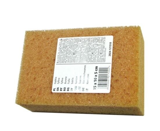 Sponge Hardy 2024-121510