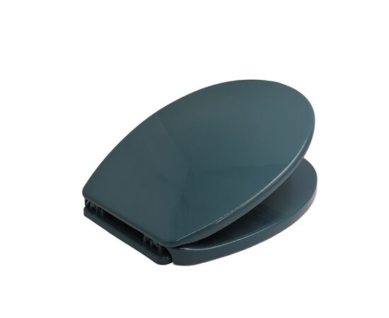 Toilet seat Bisk Iris Black