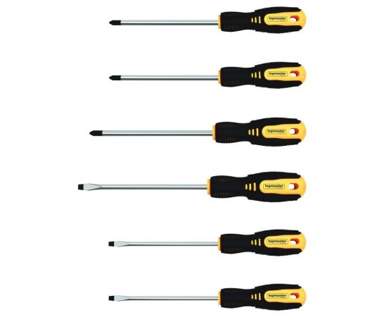 Screwdriver set Topmaster 224501 6 pcs