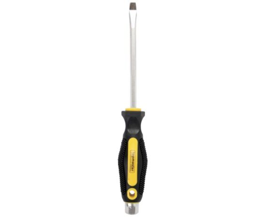 Screwdriver TOPMASTER 221561 4х100 mm