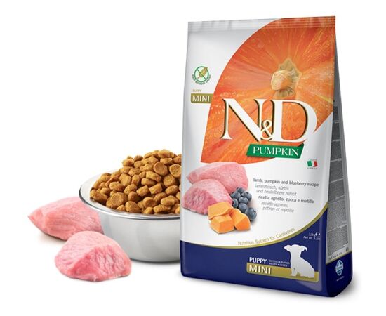 Dog food Farmina N&D Pumkin Puppy Mini lamb and blueberries 2.5 kg