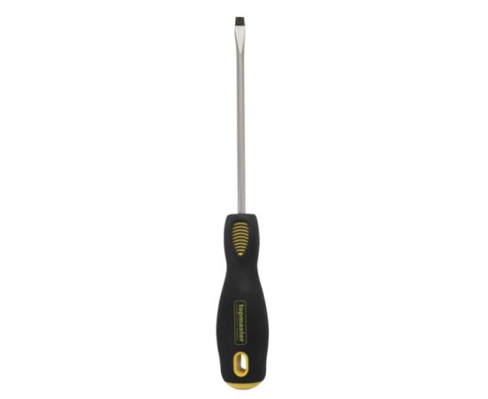 Screwdriver TOPMASTER 221563 5,5х100 mm