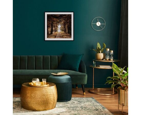 Picture in a frame Styler AB188 BROWN FOREST 50X50