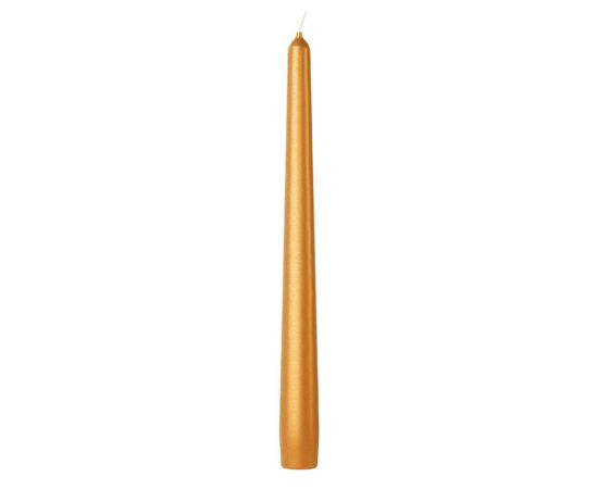 Cone candle Bolsius Golden Orange 245/24 mm bx4