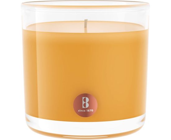 Candle in glass with aroma mango scent Bolsius 95/95