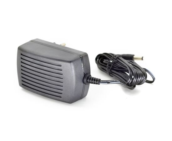 Charger Raider 039705 12V