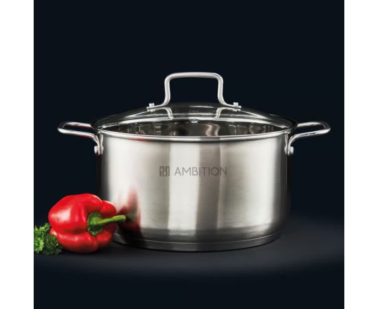 Pot with glass lid Ambition HUGO 44460 22cm 3,5l