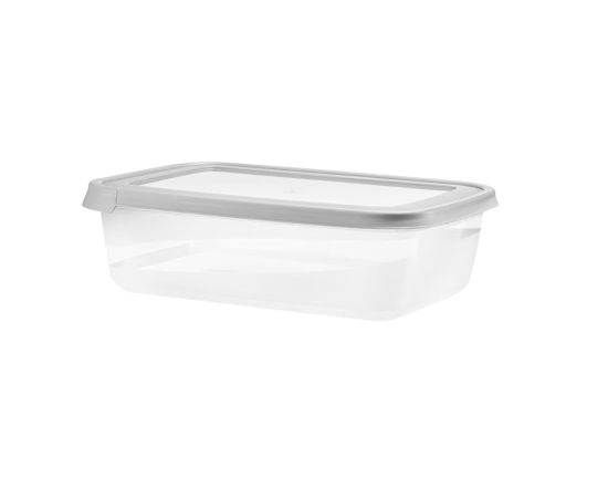 Storage container with lid Domotti ALBERT 43219 3000ml gray