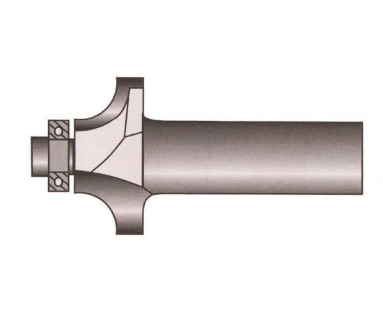 Router bit with bearing Raider FD07007 8xR9.52xH15.9 mm