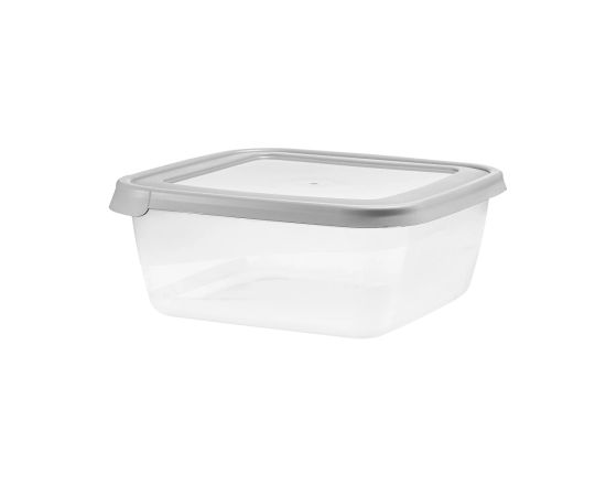 Storage container with lid Domotti ALBERT 43221 250ml gray