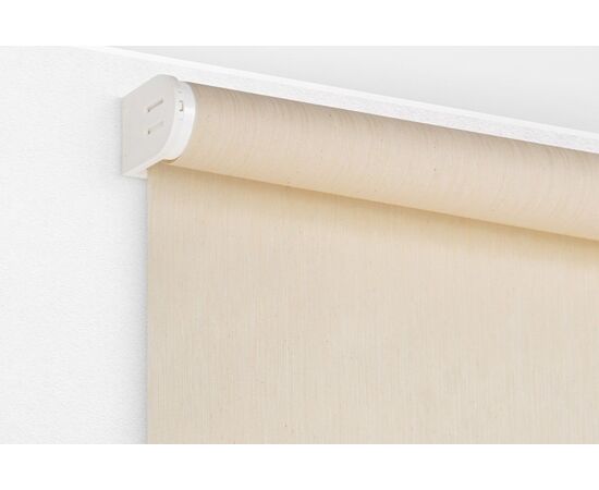 Roller shade Delfa СРШ-01М-2288 43x170 cm