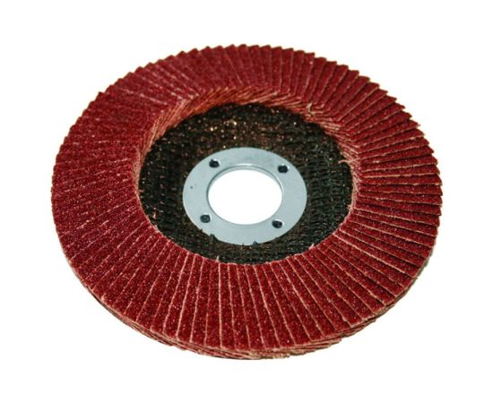 Flap disc Raider 125mm  А-40