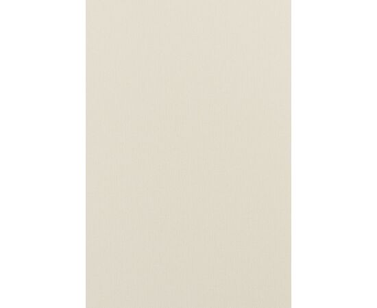 Curtain Delfa Termo Blackout SRSH-01M-7900 72(68)/170 cm white