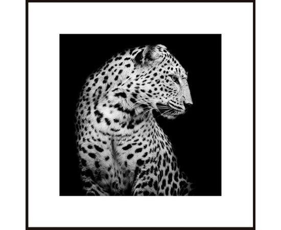 Picture in a frame Styler AB126 LEOPARD 50X50