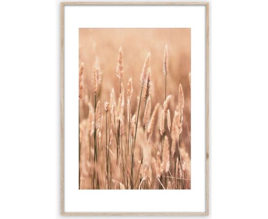 Картина в рамке Styler Grasses II AB079 50X70 см