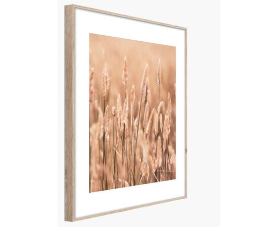 Картина в рамке Styler Grasses II AB079 50X70 см