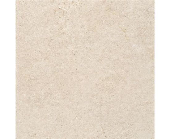 Porcelain tile Vitacer P.E. PORTUM MINK 60X60cm