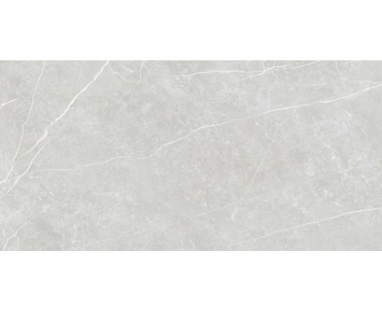 Porcelain tile Tau Ceramica Elite Silver 600x1200 mm