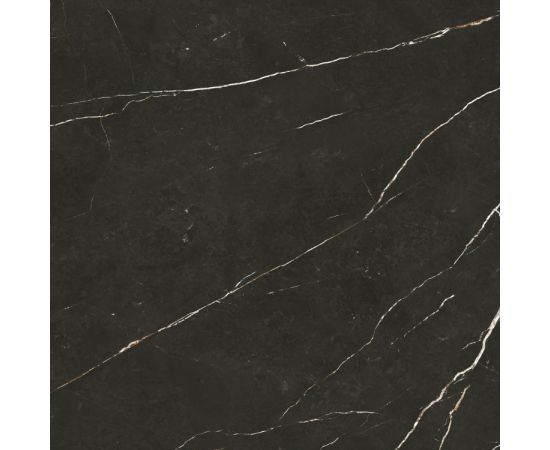 Porcelain tile Tau Ceramica Elite Black 600x600 mm