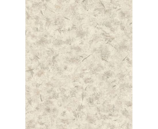 Vinyl wallpaper Rasch 649703 0.53x10.05 m