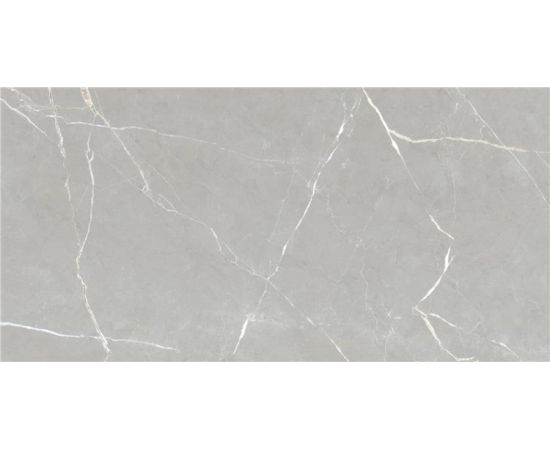 Porcelain tile Vitacer Essenza Grey 600x1200 mm